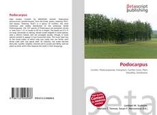Copertina di Podocarpus