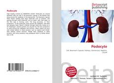 Buchcover von Podocyte