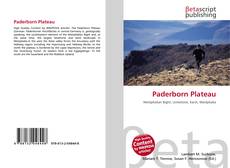 Buchcover von Paderborn Plateau