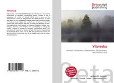 Couverture de Ylivieska