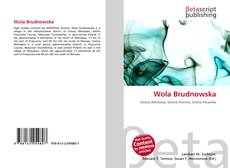 Copertina di Wola Brudnowska