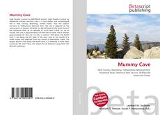 Mummy Cave的封面
