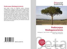 Buchcover von Podocarpus Madagascariensis