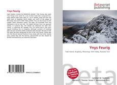 Buchcover von Ynys Feurig
