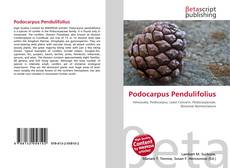 Buchcover von Podocarpus Pendulifolius