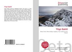 Buchcover von Ynys Gaint