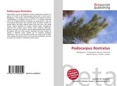 Couverture de Podocarpus Rostratus