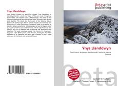 Buchcover von Ynys Llanddwyn