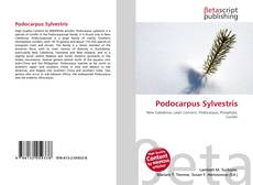 Podocarpus Sylvestris的封面