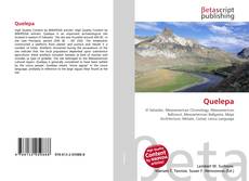 Buchcover von Quelepa