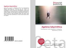 Buchcover von Agelena labyrinthica