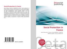 Capa do livro de Social Protection in France 