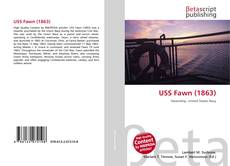 Capa do livro de USS Fawn (1863) 