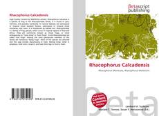Buchcover von Rhacophorus Calcadensis
