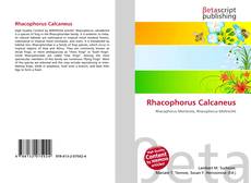 Copertina di Rhacophorus Calcaneus
