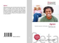 Capa do livro de Agnon 