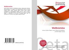 Capa do livro de Wolbromów 
