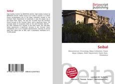 Capa do livro de Seibal 
