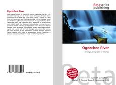 Capa do livro de Ogeechee River 