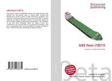 Copertina di USS Fern (1871)