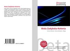 Portada del libro de Wola Zadybska-Kolonia