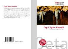 Buchcover von Ogof Agen Allwedd