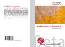 Rhadamanthus Secundus的封面