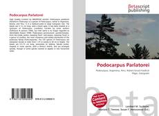 Podocarpus Parlatorei的封面