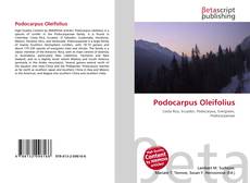 Buchcover von Podocarpus Oleifolius