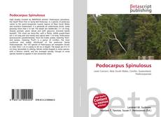 Bookcover of Podocarpus Spinulosus