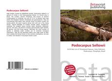 Bookcover of Podocarpus Sellowii