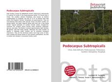 Bookcover of Podocarpus Subtropicalis