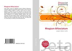 Bookcover of Rhagium Bifasciatum