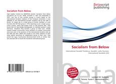 Socialism from Below的封面