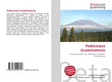 Couverture de Podocarpus Guatemalensis