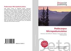 Buchcover von Podocarpus Micropedunculatus