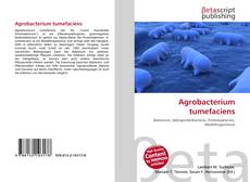 Buchcover von Agrobacterium tumefaciens