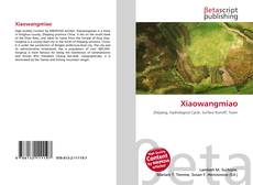 Capa do livro de Xiaowangmiao 