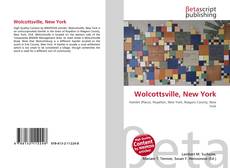 Buchcover von Wolcottsville, New York