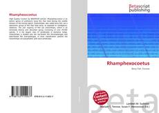 Couverture de Rhamphexocoetus