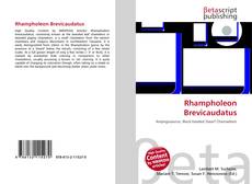 Capa do livro de Rhampholeon Brevicaudatus 
