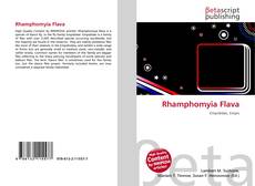 Copertina di Rhamphomyia Flava