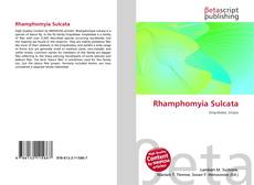 Copertina di Rhamphomyia Sulcata