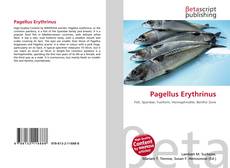 Copertina di Pagellus Erythrinus