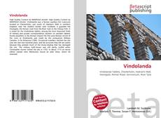 Обложка Vindolanda