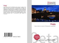 Обложка Pagig