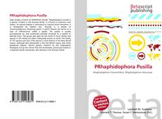 Copertina di PRhaphidophora Pusilla