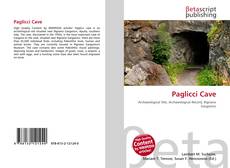 Buchcover von Paglicci Cave