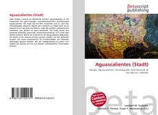 Copertina di Aguascalientes (Stadt)