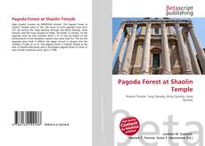 Copertina di Pagoda Forest at Shaolin Temple